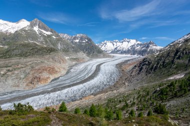 İsviçre Alplerinde Bettmeralp yakınlarındaki Aletsch buzulu güneşli bir günde ve mavi gökyüzünde