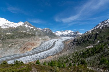 İsviçre Alplerinde Bettmeralp yakınlarındaki Aletsch buzulu güneşli bir günde ve mavi gökyüzünde