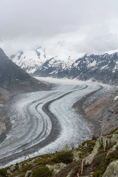 Ledovec Aletsch Bettmeralp Švýcarských Alpách Slunečného Dne Modré Oblohy — Stock fotografie