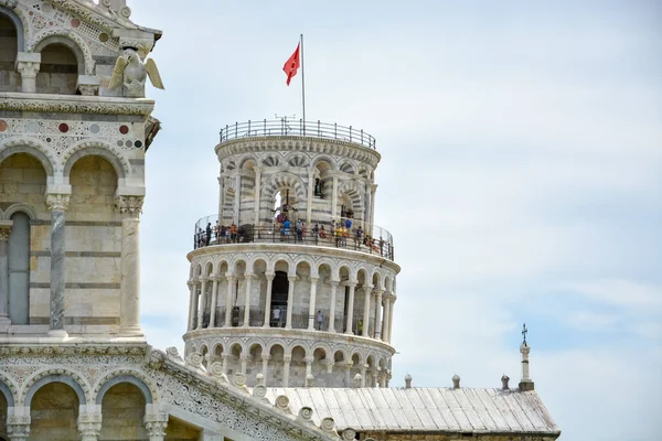 Pisa Talya Ağustos 2019 Güneşli Bir Günde Pisa Katedralinin Arkasında — Stok fotoğraf