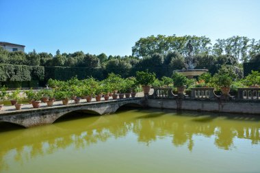 Güneşli bir günde Floransa 'daki bahçe giardino di Boboli