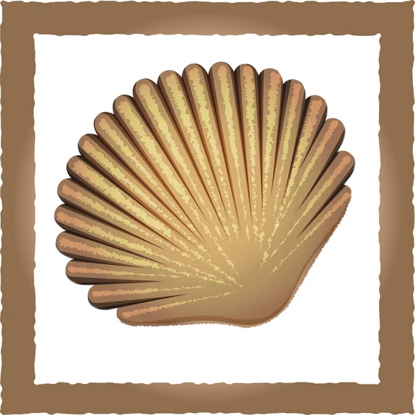 Vectorillustratie. Seashell bruin — Stockvector