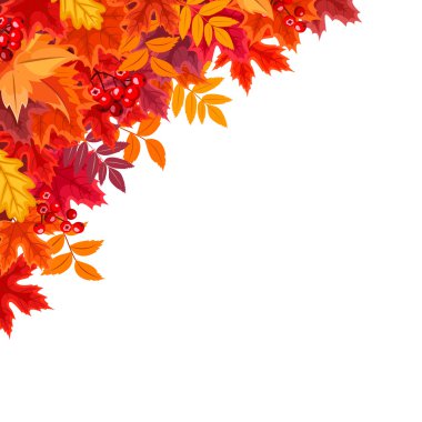 Kırmızı ve turuncu sonbahar yaprakları ile arka plan. Vektör çizim.