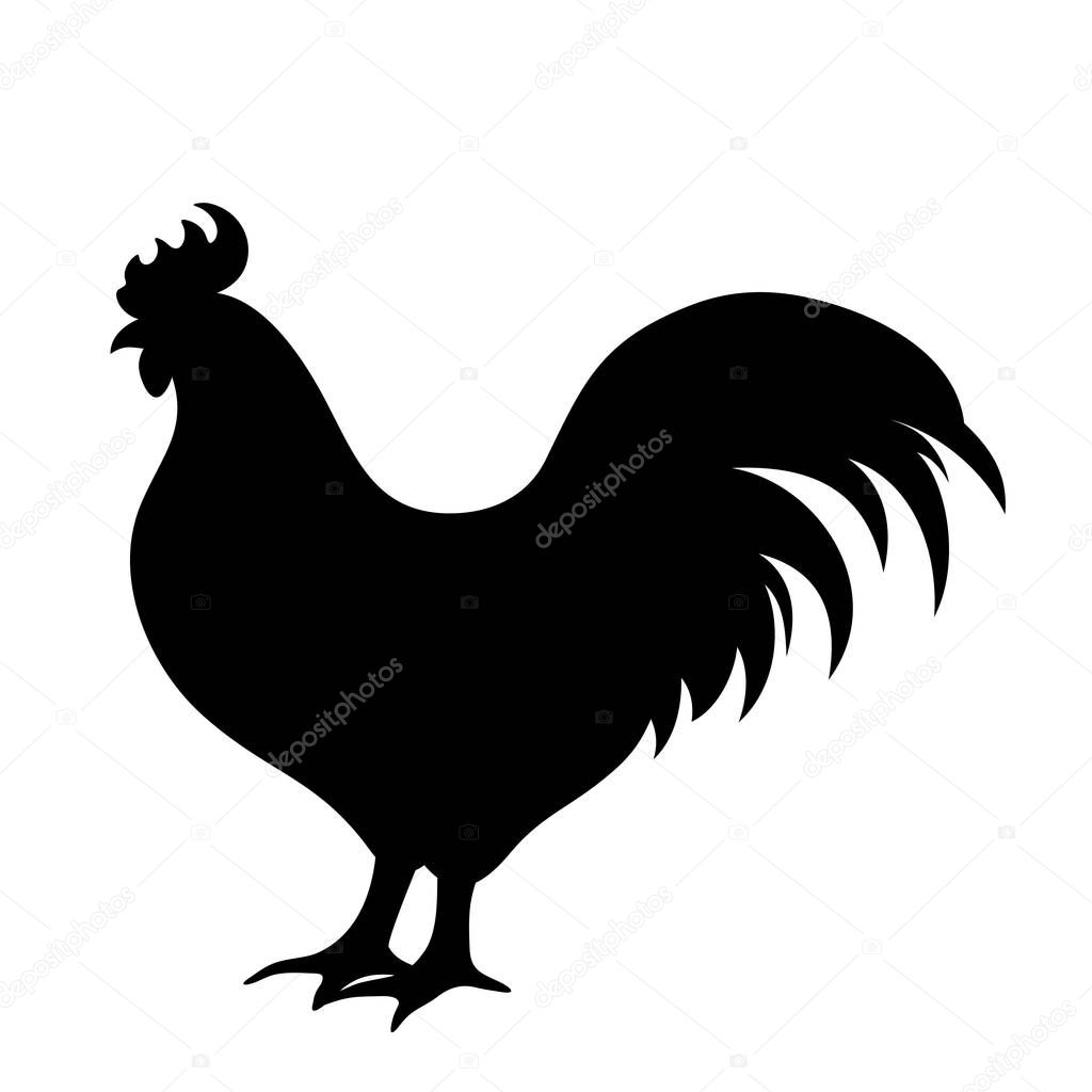 Cock. Vector black silhouette.