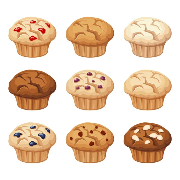 Set di muffin vari. Illustrazione vettoriale . — Vettoriale Stock