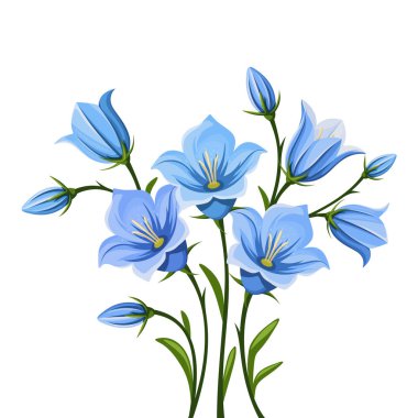 Bluebell flowers. Vector illustration. clipart