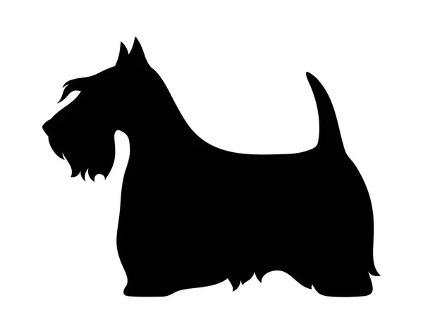 Scottish terrier dog. Vector black silhouette. — Stock Vector