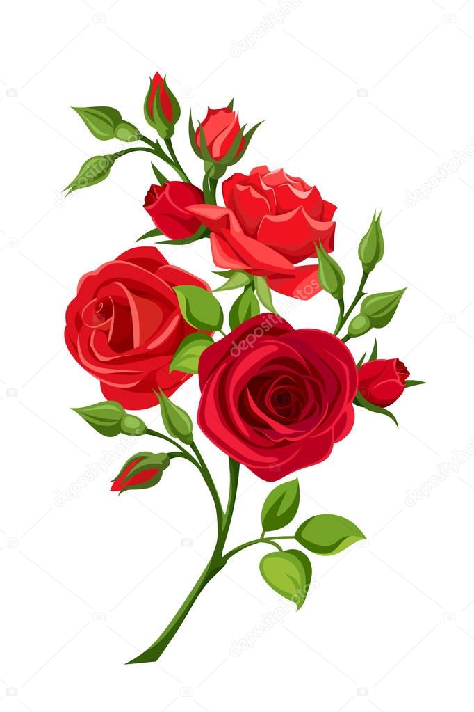 Branch of red roses. Vector illustration.