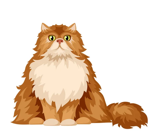 Gato persa. Ilustración vectorial . — Vector de stock
