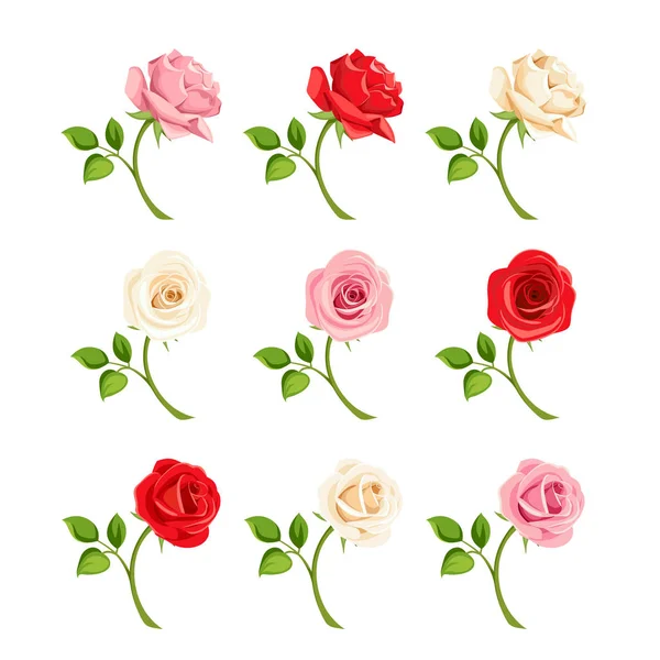 Conjunto de rosas vermelhas, rosa e brancas. Ilustração vetorial . — Vetor de Stock