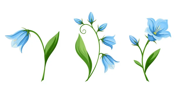Bluebell flowers. Vector illustration. — Stock Vector