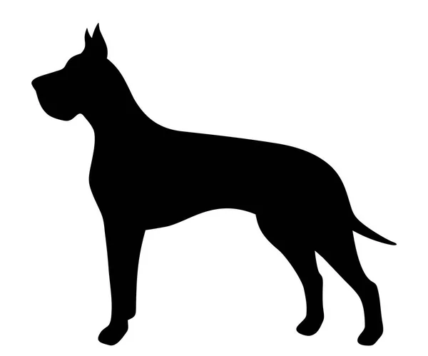 Vector black silhouette of a Great Dane dog. — Stock Vector