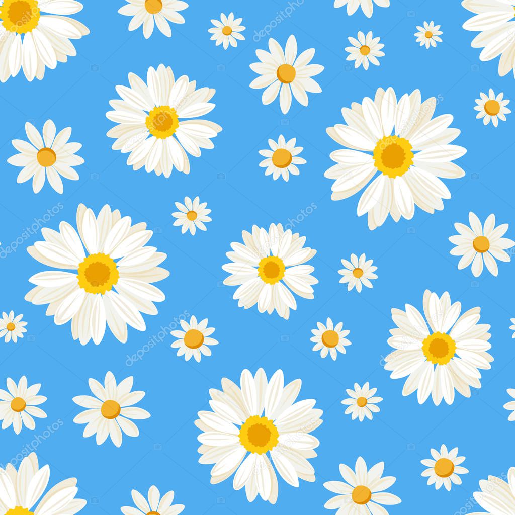 Seamless pattern with daisy flowers on blue. Vector illustration.