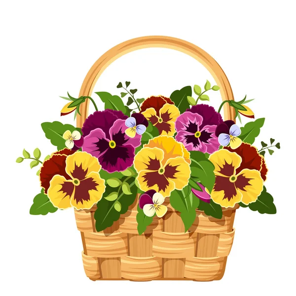 Basket with yellow and purple pansy flowers. Vector illustration. — Stock Vector