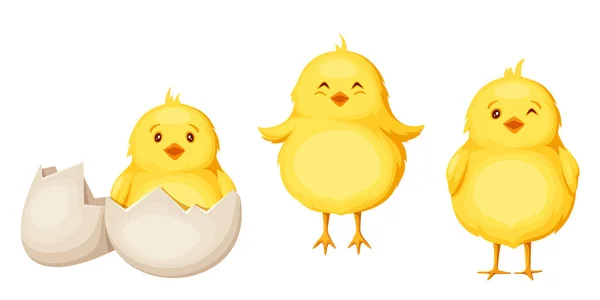 Tres pollos amarillos de Pascua. Ilustración vectorial . — Vector de stock