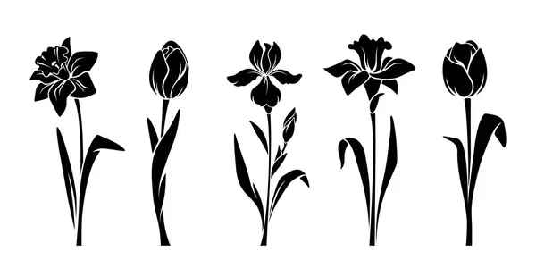 Flores de primavera. Vector siluetas negras . — Archivo Imágenes Vectoriales