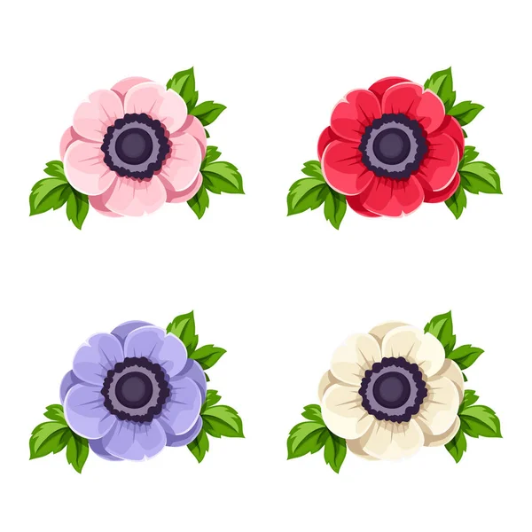Set of four anemone flowers. Vector illustration. — Stock Vector