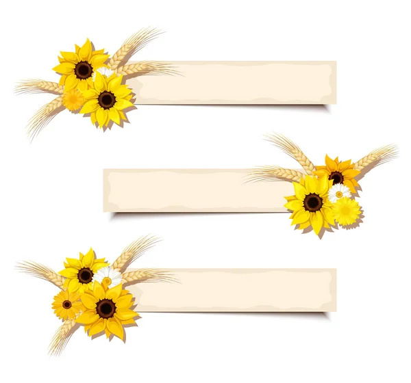Vektor webové bannery s slunečnice a uši pšenice. EPS-10. — Stockový vektor