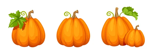 Set of orange pumpkins. Vector illustration. — Stock Vector