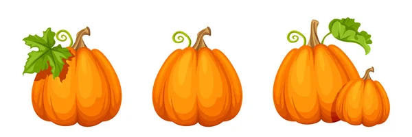 Conjunto de calabazas naranjas. Ilustración vectorial . — Vector de stock