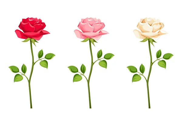 Ensemble de roses rouges, roses et blanches avec des tiges. Illustration vectorielle . — Image vectorielle