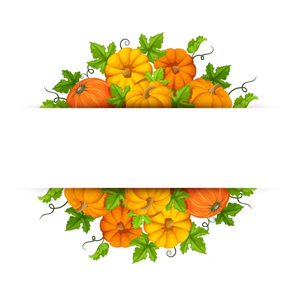 Banner with orange pumpkins. Vector eps-10. — Stock Vector