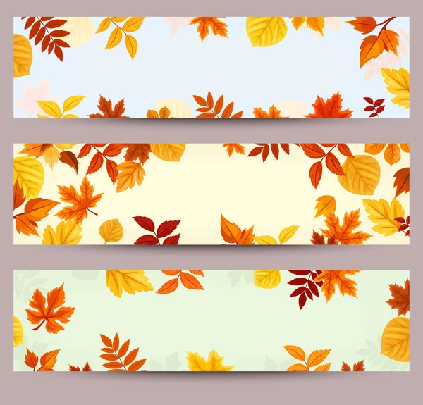Vector banners with colorful autumn leaves. — Stock Vector