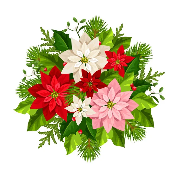 矢量圣诞花束 粉红色和白色的一品红花 冷杉枝 冬青和槲寄生 — 图库矢量图片
