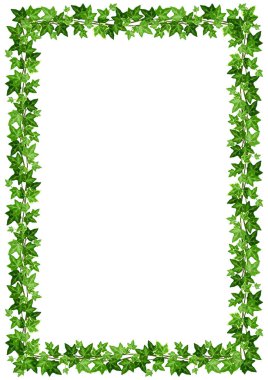 Vektör arka plan çerçeve yeşil sarmaşık olan beyaz bir arka plan üzerinde bırakır.
