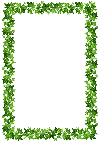 Vector Background Frame Green Ivy Leaves White Background — Stock Vector