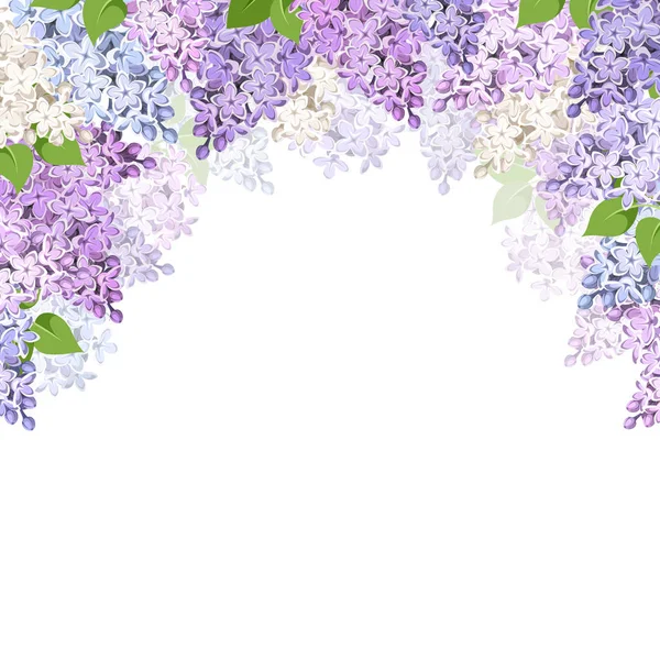 Fond Vectoriel Avec Des Fleurs Lilas Violettes Roses Bleues Blanches — Image vectorielle