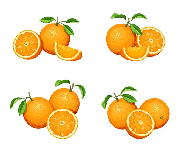 Fruto naranja aislado en blanco. Ilustración vectorial . — Vector de stock