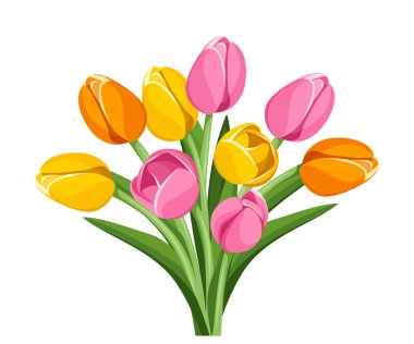 Beyaz arka planda izole edilmiş pembe, turuncu ve sarı lale çiçekleri..