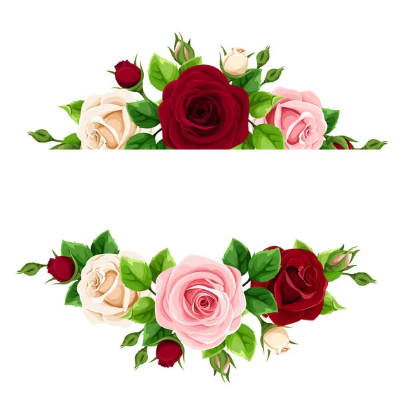 Vektorbanner Mit Rosa Weinroten Und Weißen Rosen — Stockvektor