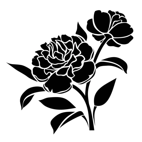 Vector Black Silhouette Peony Flowers Isolated White Background — Stock Vector