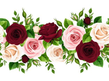 Beyaz arka planda bordo, pembe ve beyaz güllerle vektörsüz yatay sınır.