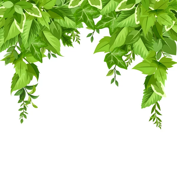 Векторный Фон Различными Зелеными Листьями — стоковый вектор