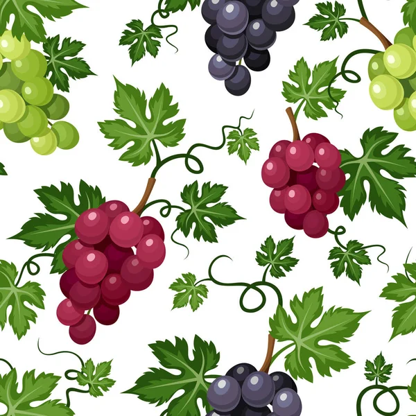 Vector Seamless Background Black Red Green Grape Vines White Background — Stock Vector