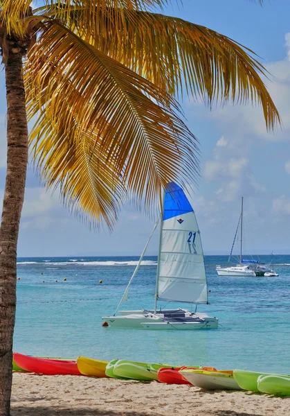 Guadeloupe, Sainte Anne, Frankrike - 11 maj 2010: pittoreska beac — Stockfoto