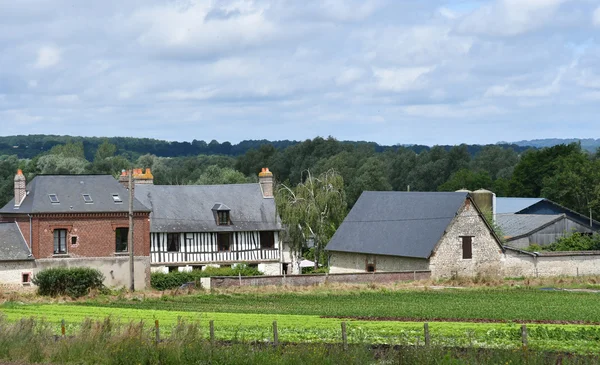 Saint Martin de Boscherville, France - june 22 2016 : market ga — Stock Photo, Image