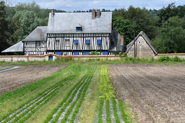 Saint Martin de Boscherville, Francie - 22 června 2016: trh ga — Stock fotografie