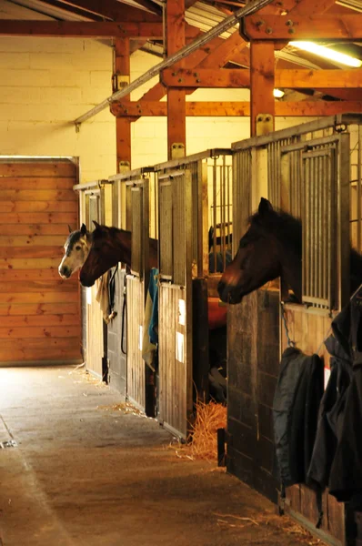 Verneuil-sur Seine, április 9 2016: a lovas központ — Stock Fotó