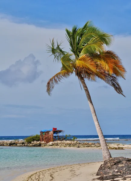 Guadeloupe, sainte anne, franz - 11. Mai 2010: malerischer beac — Stockfoto