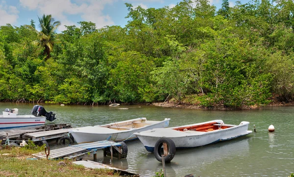 Guadeloupe, petit canal, frankreich - 10. Mai 2010: malerischer mang — Stockfoto