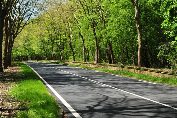 Gazeran, Francia - 5 giugno 2016: primavera di campagna — Foto Stock