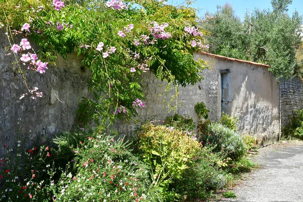 Sainte Marie de Re, Fransa - 25 Ağustos 2016: pitoresk vil — Stok fotoğraf