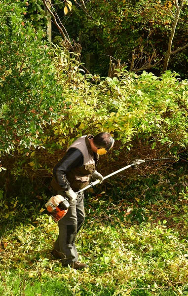 Verneuil sur Seine, France - november 3 2016 : pruner in agarden — Stock fotografie