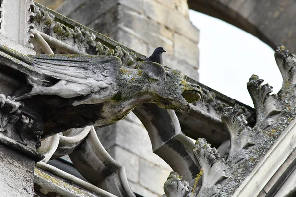 Mantes la Jolie; France - october 18 2016 : gothic Notre Dame co — Stockfoto