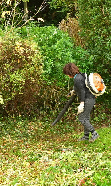 Verneuil sur Seine, France - November 3 2016: pruner in agarden — стоковое фото