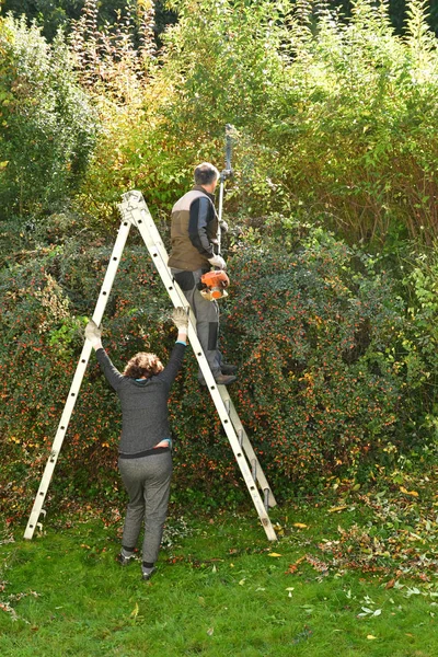 Verneuil sur seine, Frankreich - 3. November 2016: Gartenschneider in agarden — Stockfoto